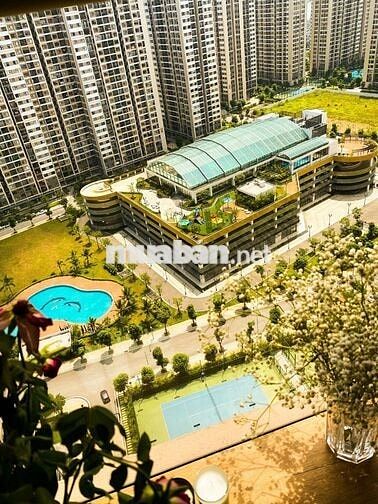  BÁN GẤP CĂN 1N+1 VIEW THOÁNG GIÁ CHỈ 2.950 TR FULL ĐỒ TẠI VHOP 