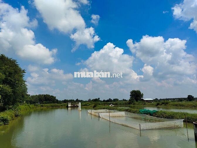 Tuyển dụng nhân viên chăn nuôi
