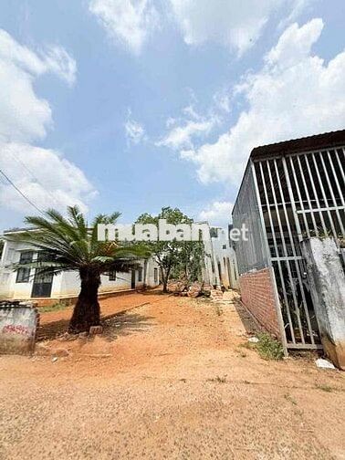 chính chủ cần bán đất thổ cư hẻm 117 mạc đĩnh chi phường bmt