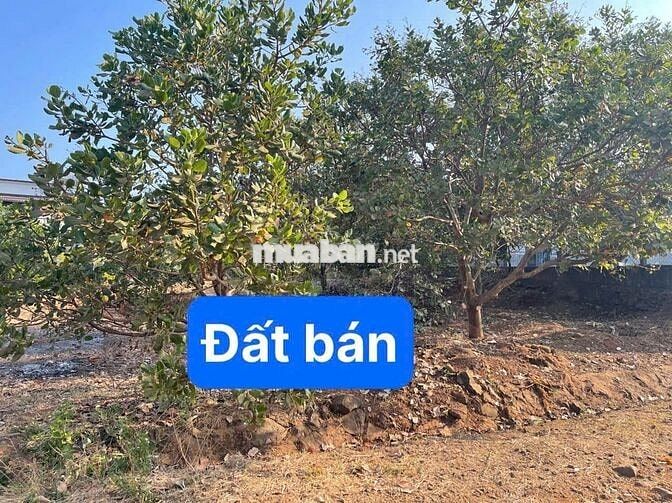Bán Lô Đất LÔ THÔN 5 EABAR Huyện Buôn Đôn, ĐakLak