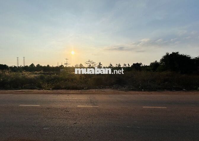 Chính chủ đăng bán đất xã Long Đức, Long Thành - cách TL769 2.5km