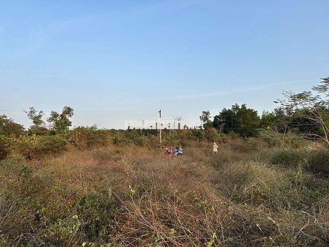 Chính chủ đăng bán đất xã Long Đức, Long Thành - cách TL769 2.5km