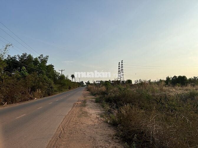 Chính chủ đăng bán đất xã Long Đức, Long Thành - cách TL769 2.5km