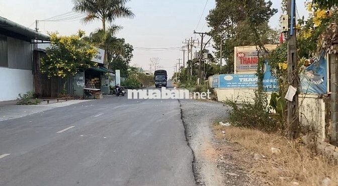 Chính chủ đăng bán đất xã Long Đức, Long Thành - cách TL769 2.5km
