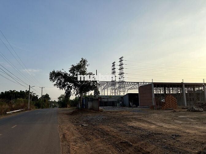 Chính chủ đăng bán đất xã Long Đức, Long Thành - cách TL769 2.5km