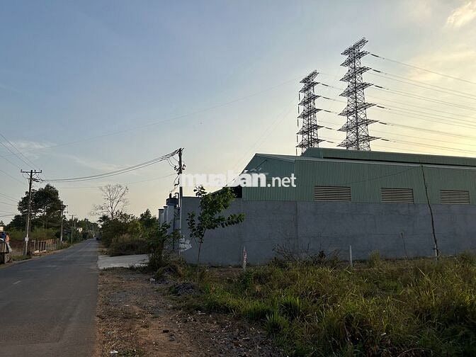 Chính chủ đăng bán đất xã Long Đức, Long Thành - cách TL769 2.5km