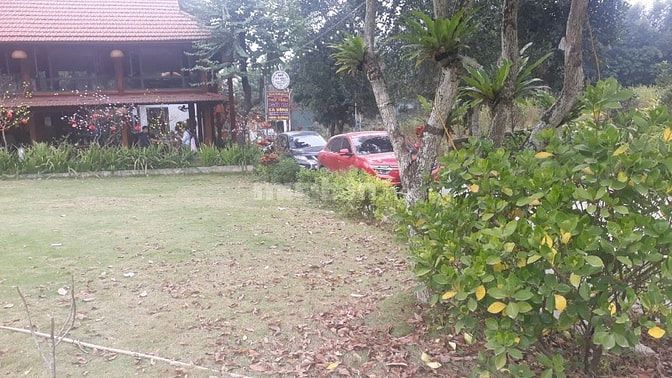 Bán đất nền 3 mặt tiền Lương Sơn 304.7m², vị trí gần trường lớn