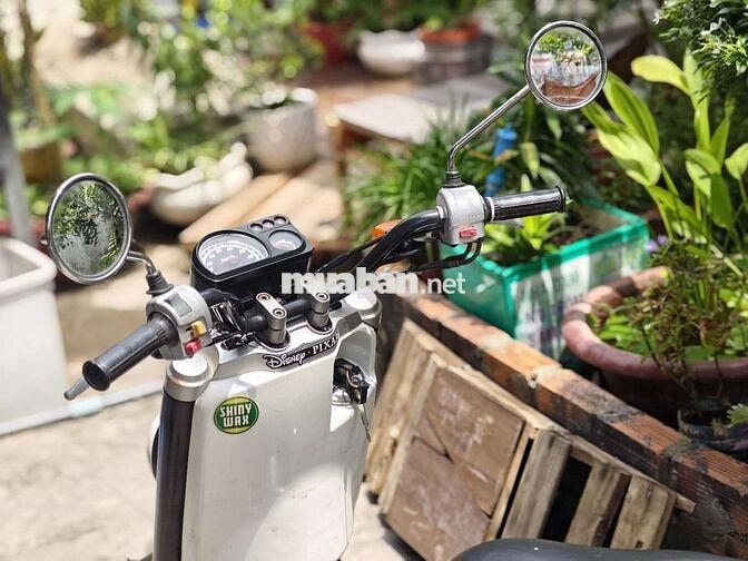 Yamaha Vox 50cc Trắng
