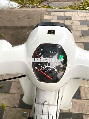 Detech Cub 50cc 2024 Trắng