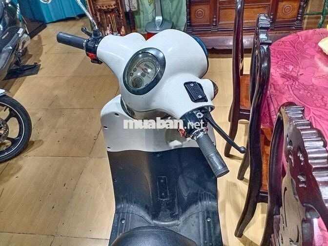 SACHS AMICI 2014 màu Trắng