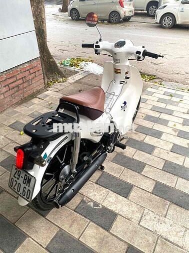 Detech Cub 50cc 2024 Trắng