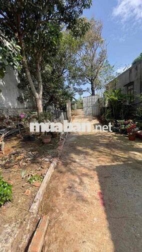 548m2 ĐẤT HẺM 233 YWANG LÀM NHÀ VƯỜN