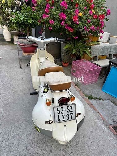 Honda Little Cub 50 Trắng