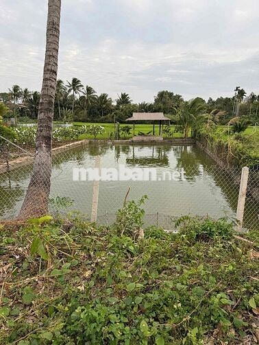 548m2 ĐẤT HẺM 233 YWANG LÀM NHÀ VƯỜN