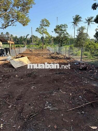 548m2 ĐẤT HẺM 233 YWANG LÀM NHÀ VƯỜN