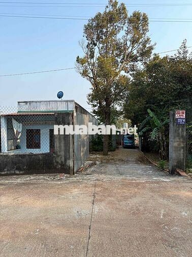 548m2 ĐẤT HẺM 233 YWANG LÀM NHÀ VƯỜN