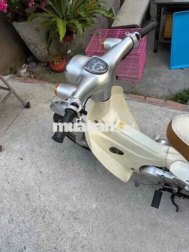 Honda Little Cub 50 Trắng