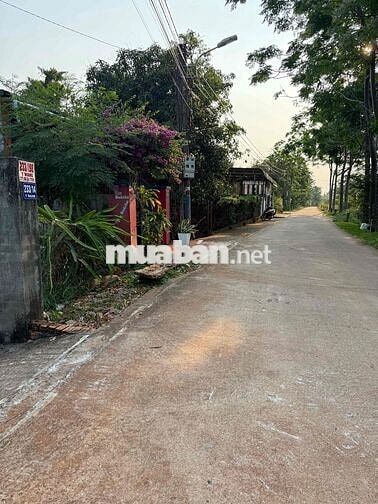 548m2 ĐẤT HẺM 233 YWANG LÀM NHÀ VƯỜN