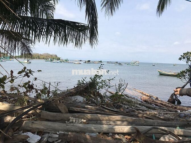 CẦN BÁN GẤP ĐẤT VIEW BIỂN – GIÁ TỐT CHỈ 2.x TỶ
