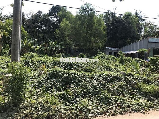 CẦN BÁN GẤP ĐẤT VIEW BIỂN – GIÁ TỐT CHỈ 2.x TỶ