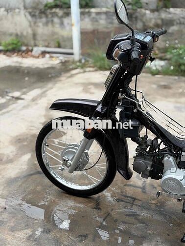 Honda Dream màu Nâu đen don fun new biển 65