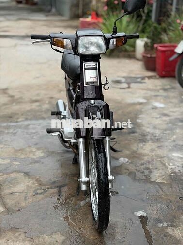 Honda Dream màu Nâu đen don fun new biển 65