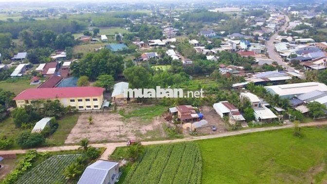 Cần bán gấp đất 180m2 full tc sát ngay KCN Trảng Bàng Giá 795 triệu