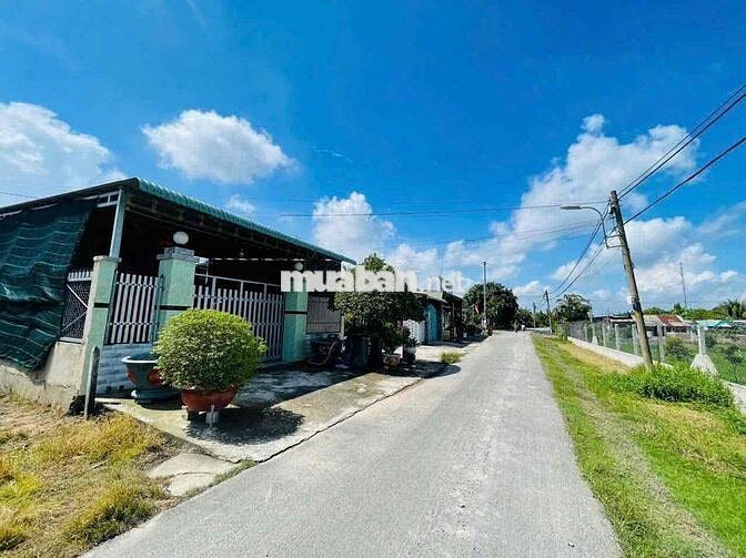 Sở hữu đất mặt tiền kinh doanh với 247m2 tại An Hoà, Trảng Bàng