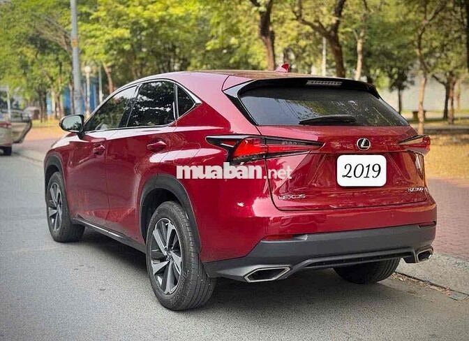 Lexus NX 300 2019 Đỏ 72136 km