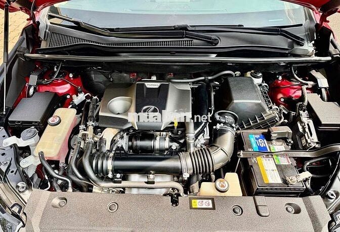Lexus NX 300 2019 Đỏ 72136 km