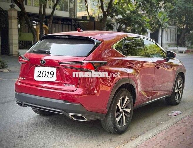 Lexus NX 300 2019 Đỏ 72136 km