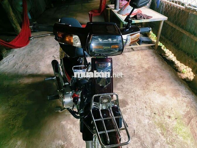 Honda Dream màu Đỏ mận