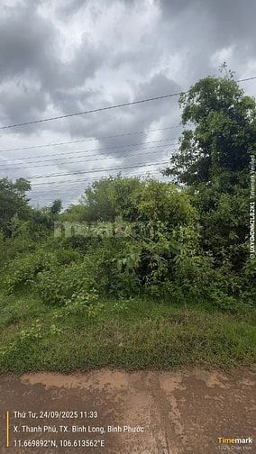 Thông báo đấu giá tài sản bảo đảm của khách hàng Hà Văn Cao tại MSB