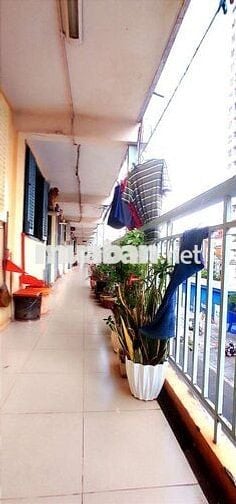Căn Hộ Chung Cư Lý Thường Kiệt 