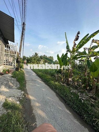 Đất nền Phước Hậu 126m2 Thổ cư