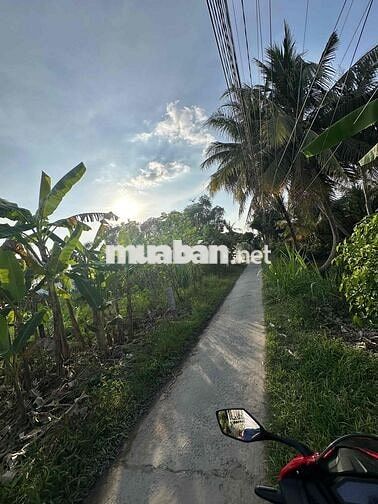 Đất nền Phước Hậu 126m2 Thổ cư