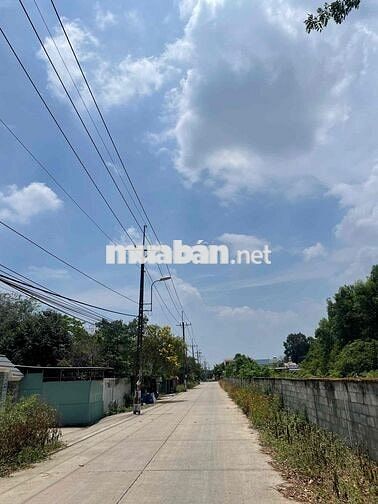 ĐẤT FULL THỔ CƯ GIÁ NHỈNH 1 TỶ NGAY TÂN AN HỘI - CỦ CHI