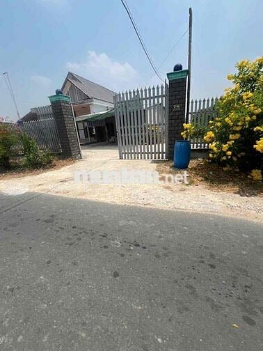 ĐẤT FULL THỔ CƯ GIÁ NHỈNH 1 TỶ NGAY TÂN AN HỘI - CỦ CHI