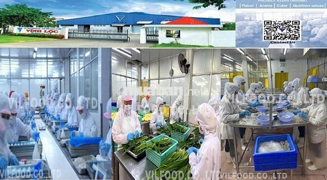 CN THỰC PHẨM ĐÔNG LẠNH LÀM  TẠI KCN VĨNH LỘC, HCM