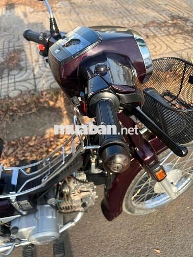 Honda Super Dream 2010