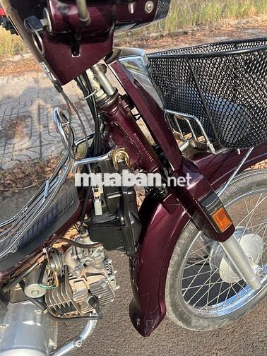 Honda Super Dream 2010