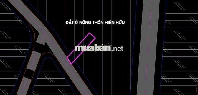 Nợ cần bán đất MT Võ Văn Điều – 117m² – ngang 5m – giá chỉ 580tr