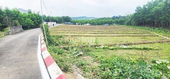 🎯 CHỈ HƠN 200 TRIỆU MÀ MUA ĐẤT SỔ ĐỎ TRAO TAY????
