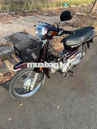 Honda Super Dream 2010