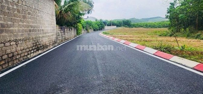 🎯 CHỈ HƠN 200 TRIỆU MÀ MUA ĐẤT SỔ ĐỎ TRAO TAY????