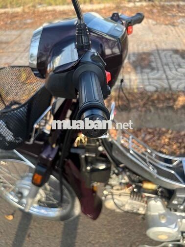 Honda Super Dream 2010