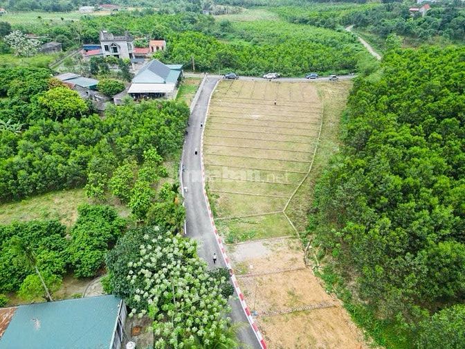 🎯 CHỈ HƠN 200 TRIỆU MÀ MUA ĐẤT SỔ ĐỎ TRAO TAY????