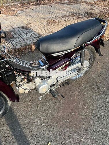 Honda Super Dream 2010