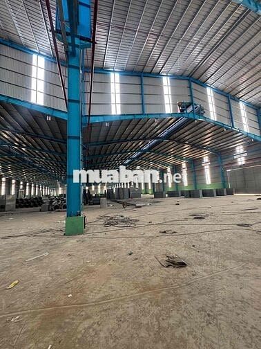 Cho thuê kho 1000m2 Đoàn Nguyễn Tuân, Bình Chánh đường xe container