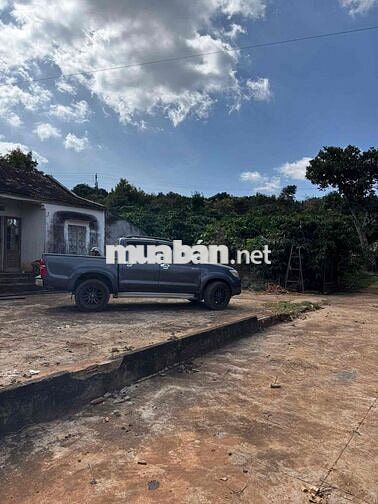 chính chủ bán 4ha mặt tiền đường Liên Huyện Ea H’Leo